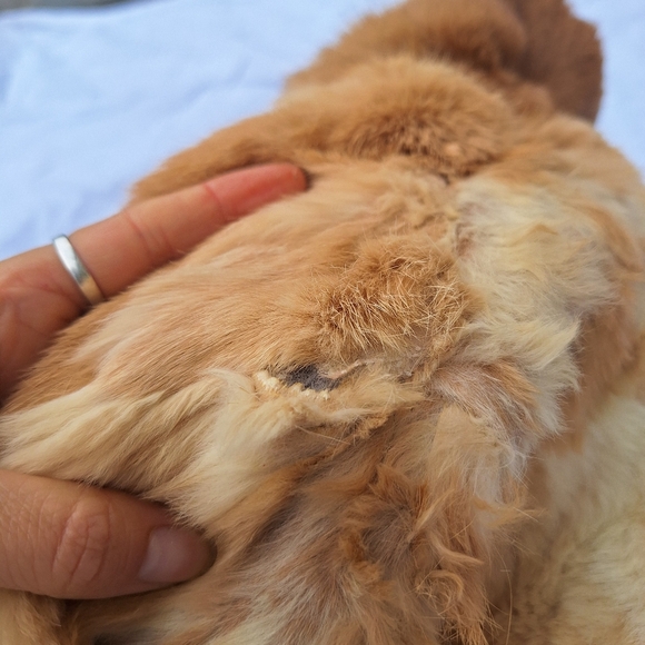Real Rabbit Fur Tan Jacket - Picture 7 of 7